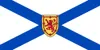 Kanada Flaga Nova Scotia 3ft x 5ft Poliester Banner Latający 150 * 90 cm Niestandardowa flaga na zewnątrz