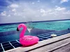 Stock opblaasbare flamingo dranken beker houder zwembad drijft bar coasters floatation apparaten kinderen bad speelgoed klein formaat