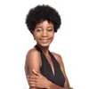 Top quality Afro Kinky Curly Hair Short Human Hair Capless Wigs natural Color Virgin Hair Bob Short Wigs For Black Women