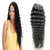 10 "-26" Curly Micro Loop Hair Extensions Virgin Micro Ring Hair Extensions 100g Deep Curly Micro Loop Human Hair Extensions