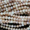 Produits semi-finis DIY Multicolore 7-8mm Naturel Perles d'eau douce en gros Collier de vente au détail en gros Bracelet Collier Collier Environ Round Loose Perles 15 pouces