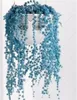 Blauwe parelchlorofytum zaden ingemaakte plant succulente zaden anti-stralingsdeeltjes 100 stuks / zak kantoor bureaublad bloemen