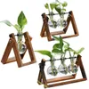 New Flowers Vase for Home Decor Living room decoration transparent glass container free shipping