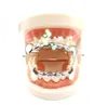 Maschile Donna Moda Denti Grillz Set superiore e inferiore Hip-hop Zanne Oro False Denti Oro Argento Nero Oro rosa Personalità Vampiro Grillzs