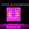 Nytt 80W LED Grow Light 42leds IP66 inomhus hydroponiskt system Växtljus för växthusblomning och -odling