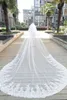 Bling Bling Crystal Bridal Veils Cathedral Length Wedding Accessories 2020 Lace Appliques Beaded Wedding Veils with Combs In Stock