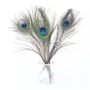 Materiales decorativos elegantes Pluma de pavo real natural real Plumas hermosas de aproximadamente 25 a 30 cm envío gratis HJ170