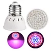 E27 220V Planta LED SMD2835 Grow Light Full Spectrum Red+Blue LED Grow Lamp para hidroponia Flores Plantas Legumes