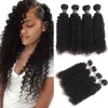 Malaisiens Crépus Bouclés Cheveux Humains 3 ou 4 Pcs/Lot Malaisiens Cheveux Humains Tisse Ondulés Crépus Bouclés Extensions de Cheveux 9A Remy Malaisiens Bouclés