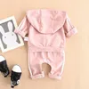 Baby Kläder Bomull Hoodie Toppar + Byxor Leggings 2st Cute Letter Baby Kläder uppsättningar Nyfödda spädbarn Varma Outfits 3Colors för spädbarn 0-3t