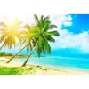 Приморский фон фотостудия пляж пейзаж пальмы голубое небо и море Боке солнечный свет дети свадебные фотографии фоны