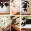 Meubles fantaisie pour animaux de compagnie, tapis de coussin en éponge douce en forme de pain grillé, matelas lavable créatif, chat, chien, sommeil, jeu, siège, coussin de lit, cadeau de noël