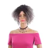 Ombre Perruque Sliver Gris Noir Court Afro Crépus Bouclés Perruques Pour Femmes Cheveux Synthétiques Femmes Perruques