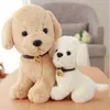 Dorimytrader güzel yumuşak hayvan köpek peluş oyuncak doldurulmuş karikatür köpek yavrusu yastık hediye çocuklar için dekorasyon 40cm 16inch dy619097325816