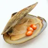 New oval oyster pearl, oyster pearl is 6-8mm3 same color # 2 (orange) natural freshwater pearl, spot wholesale (free shipping)