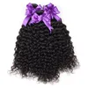 Capelli lunghi crespi ricci 3 pacchi con chiusura in pizzo 4x4 Brasiliano Malese capelli umani intrecciati Jerry Curl per donne nere 20-30 pollici