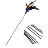 Bell feathers Pet tease cat and stick Color interactive teasing cat toys Fishes deity to amuse the cat pole T4H0239