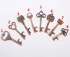 Schlüsselform-Bier-Flaschenöffner-Weinlese-Retro- Keychain Schlüsselring-Öffner 100pcs / lot 8 Arten B002