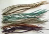 10 stks lot 15-35 cm natuurlijke kleuren haar veren 100% real grizzly dunne haan Individuele veer hair extensions238M