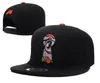 Ny mode trukfit broderi snapbacks hip hop hattar skateboard pojke mönster baseball mössor ben gorras hatt för män kvinnor300w6766950