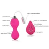 USB Charged Kegel Balls Vagina Tight Exercise 10 Speed Remote Control Wireless Vibrating Vaginal Ball Love Vibrator Egg Sex Toys Y18102605