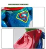 Creative Frog Statues Frog w Superman Dress Nowator Smart Desktop Dekoracje do sypialni salon i dekoracje biura196d