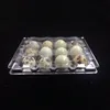 12 hål Quail äggbehållare Klar ägglådor Plastpaket Boxhållare