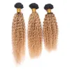 Zwei -Ton 1B 27 Honigblonde Ombre Kinky Curly Hair Extension 3pcs/Los Afro Kinky Curl Brazilian Virgin Human Hair Weben Hochzeit H206H