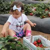 2018 New Baby Girl Clothes Lettera Strawberry Print Top T Shirt Shorts 2PCS Toddler Girls Outfits Set Cotone Estate Bambini Abbigliamento per bambini