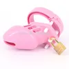 Cintura di castità maschile in silicone morbido rosa CB6000S Dispositivo di castità con gabbia per gallo piccolo Giocattoli del sesso con 5 anelli del pene per uomo Y1892804