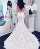 Nowa iluzja Długie rękawy Koronki Syrenki Suknie Ślubne Tulle Aplikacja Court Bridal Formalne Suknie Zipper Z Przyciskiem Back Wedding Dress