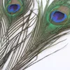 エレガントな装飾素材本物の天然孔雀の羽の美しい羽毛25〜30 cm HJ1702282540