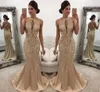 Burgundy Long Ords Golden Hand Touravagance Drill Evening Dresses Gauze T-Shirt Chest Vent Hollow Sexy Halter Fishtail Prom Dresses Hy014