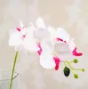 Sıcak ipek tek kök kelebek orkide 80cm/31.5 "uzunluk yapay çiçekler mini orkide phalaenopsis 7 renk düğün merkezinde