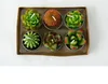 6 stks 1 set decoratieve bruiloft kaarsen mini cactus kaars tafel theelicht home tuin simulatie plant kaars partij home decoraties SN1420