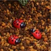 Peri Bahçesi Dekorasyon Böcek Self -Yapışkan Ladybugs Minyatür Bitki Saksıları Bonsai zanaat hayvanları mikro peyzaj diy dekor mini lad9252225
