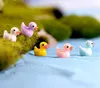 50pcslot Ducks Cine Ducks Miniatures Pvc Action Figures Figurine per animali Mini paesaggio Mini figurina per figurine Dollose decorazioni da giardino 5104524