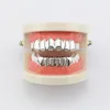 2022 6 Zähne Zähne Fangs Mode Gold plattiert Rhodium HipHop Zähne Grillz obere untere Rock Dentalgrillsets Halloween Requisis5300597