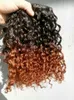 Brazilian Human Virgin Curly Hair Extensions Remy Ombre Color Natural Black /Brown Hair Weft 3Bundles For Full Head