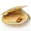 Natural de água doce pérola ostra, cor da pérola é brilhante e colorido pode ser usado para várias obras de arte, embalagem a vácuo local atacado