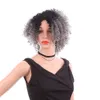 Ombre Perruque Sliver Gris Noir Court Afro Crépus Bouclés Perruques Pour Femmes Cheveux Synthétiques Femmes Perruques