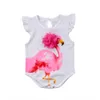 2018 nyfödd baby flicka kläder härlig bomull sommar baby romer spädbarn toddler tjejer flamingo jumpsuit enstycken outfits kläder solnedgång