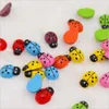 Garden Diy Decor Ladybug Decorations Realistic Mini Panel Garden Fairy Craft Micro Landscape Wood Simulation Beetle