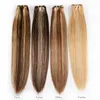 brasilianska jungfruliga hårbuntar peruanska raka hårväv 1b 1 2 4 27 99J 613 Human Hair Extension 100g PCS 3st Pack eller 4st Pack