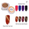 Född Pretty 6 Boxes 3D Cat Eye Powder Magic Mirror Powder Dust UV Gel Polish Nail Glitter Magnet Pigment Dust7427513