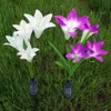 Solar Lamps LED Garden Lights Power Flower Stake Light Color Changing Outdoor Path Yard Decoration