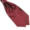 Moda para hombres Lunares lisos Imprimir ASCOT TIE Cuello corbata Seda Blend Cravat