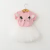 Girl Dress 2018 New Summer Bubble Skirt Tutu Dress Stile casual Cartoon Kitten T-shirt stampate + Abito con velo a rete 2 pezzi per vestiti per ragazze 2-6Y