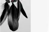 Dreamcatcher ручной работы Dream Catcher net с перьями черные ветры настенные висящие кулонные орнаментальные подарки для дома Decorati1346099