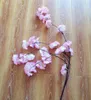 100 stücke Gefälschte Kirschblüte Blume Zweig Begonie Sakura Baumstamm 150 cm Lange für Event Hochzeit Künstliche Dekorative Blumen